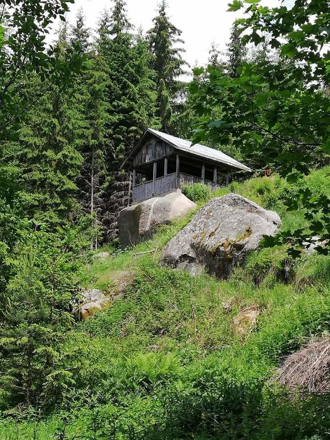 Complex Pele Hotel Zmeitsa Eksteriør billede