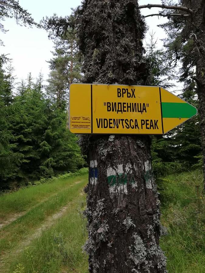 Complex Pele Hotel Zmeitsa Eksteriør billede